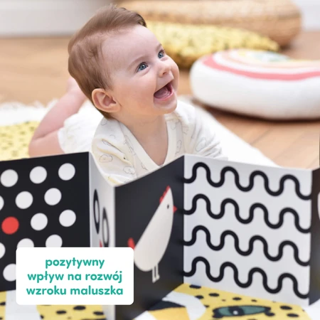 CzuCzu Toddler Starter What I See, 2 livres de contraste pour enfants, 0-6 mois