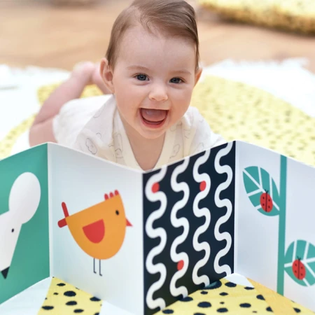 CzuCzu Toddler Starter What I See, 2 livres de contraste pour enfants, 0-6 mois