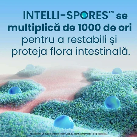 Enterogermina Forte, 10 Ampullen, Sanofi
