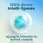 Enterogermina Forte, 10 Ampullen, Sanofi