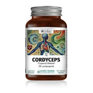Cordyceps, 60 vegetarische Kapseln, Hyllan Pharma