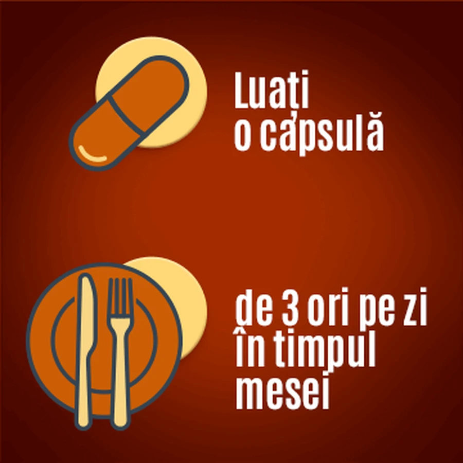 Essentiale MAX 600 mg, 3x30 capsules, Sanofi