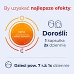 Debutir Forte, 2x60 Kapseln