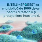 Enterogermina Forte 2x10 Ampullen x 5 ml, Sanofi