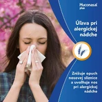 Muconasal Plus Nasenspray 10 ml