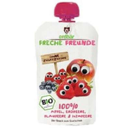 Biologische puree van appels, aardbeien, bosbessen en frambozen, 100 g, Erdbar