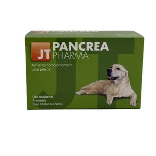 Pancreas, 60 tabletten, JT Pharma