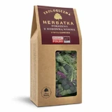 DARY NATURY Té Ortiga con arándanos Highbush Eco liofilizado, 20g