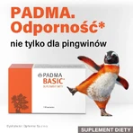 Padma Basic, 100 Kapseln