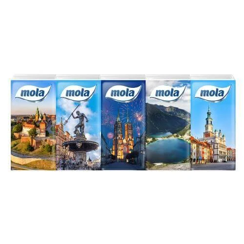 Mola City doekjes 10 x 10 stuks