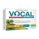 VOCAL honey-citrus, 24 lozenges