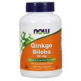NOW Ginkgo Biloba 60mg, 240 capsules