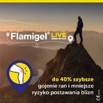 Flamigel hydrocolloïd gel, 100 g - wondhelende gel