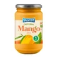 SALVEST Family BIO Mango 100%, 450 g