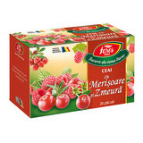 Thé aux canneberges et aux framboises, 20 sachets, Fares