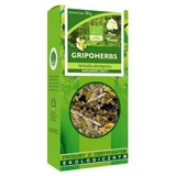 DARY NATURY Té de Gripoherbs BIO, 50g