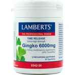 Lamberts Time Release Ginkgo 30 dossiers