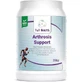 Full Health Arthrosis Support 1400mg Suplemento para la Salud Articular y Ósea 350gr Vainilla