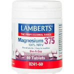 Lamberts Magnesio 100% VRN 375mg 60 comprimidos