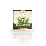 Berendruif thee, 50 g, Dorel Plant