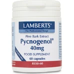 Lamberts Pycnogenol 40mg Food Supplement Special 60 caps