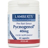 Lamberts Pycnogenol 40mg Voedingssupplement Speciaal 60 caps