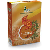 Catina Thee, 75 g, Larix