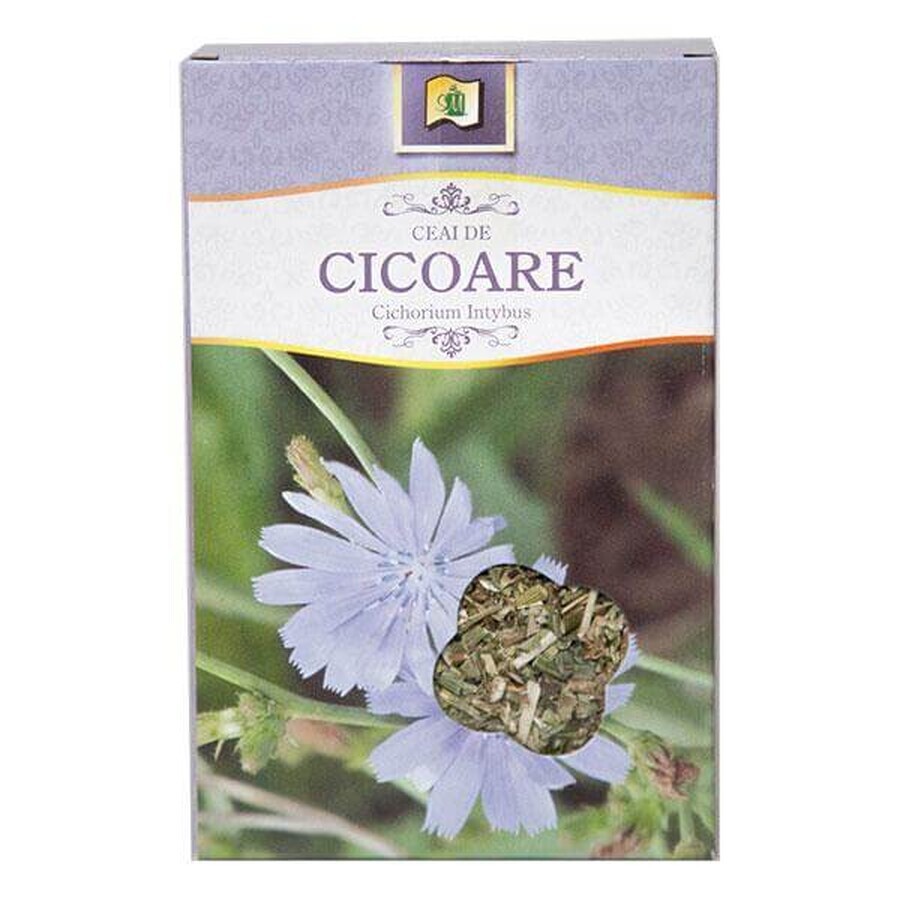 Chicory tea, 50 g, Stef Mar