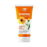 Shampoo with marigold, propolis and honey, 200 ml, Ceta