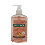 Antibacterial Kitchen Soap, 250ml, Sanytol