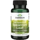 Swanson Probiotikum 400mg 60 Kapseln Spe spearmint