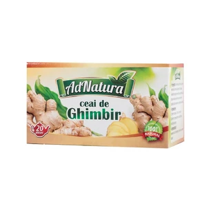 Ingwer-Tee, 20 Portionsbeutel, Adnatura