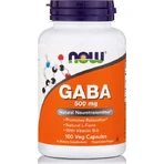 Now Foods Gaba 500mg 100 Capsules Unflavoured
