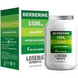 Amhes Losebig Berberine 1500mg 120 caps