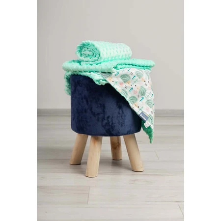 Minky Deken - Egeltjes Mint 75X100
