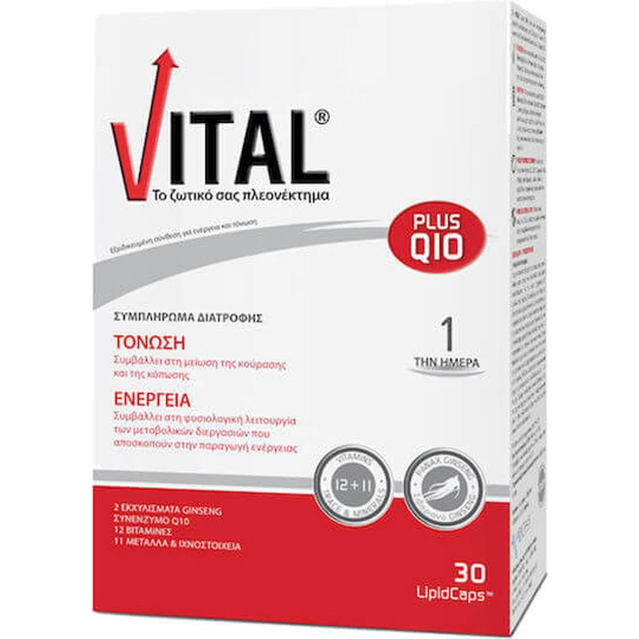 Vital Plus Q10 30 Weichkapseln