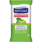 Mar Verde antibacterial wet wipes, 15 pieces, Septona