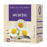 Ceai de Mușețel, 50 g, Dacia Plant