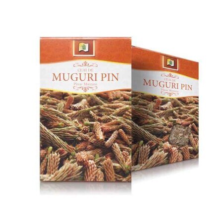 Thé aux bourgeons de pin, 50 g, Stef Mar Valcea