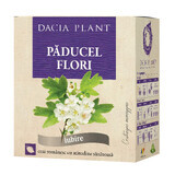 Meidoorn bloementhee, 50g, Dacia Plant