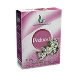 Paducel thee, 50 g, Larix