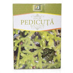 Pedicuta thee, 50 g, Stef Mar Valcea