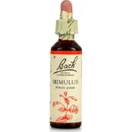 Bachblütenessenz Mimulus in Tropfen zur Entspannung 20ml