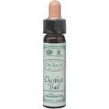 Ainsworths Bourgeon de Châtaignier Essence Florale Gouttes 10ml