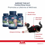 Bio PetActive Synbioflora voor middelgrote en grote honden 60 tabletten