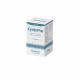 CYSTOPRO für Hunde und Katzen - 120 Kapseln
