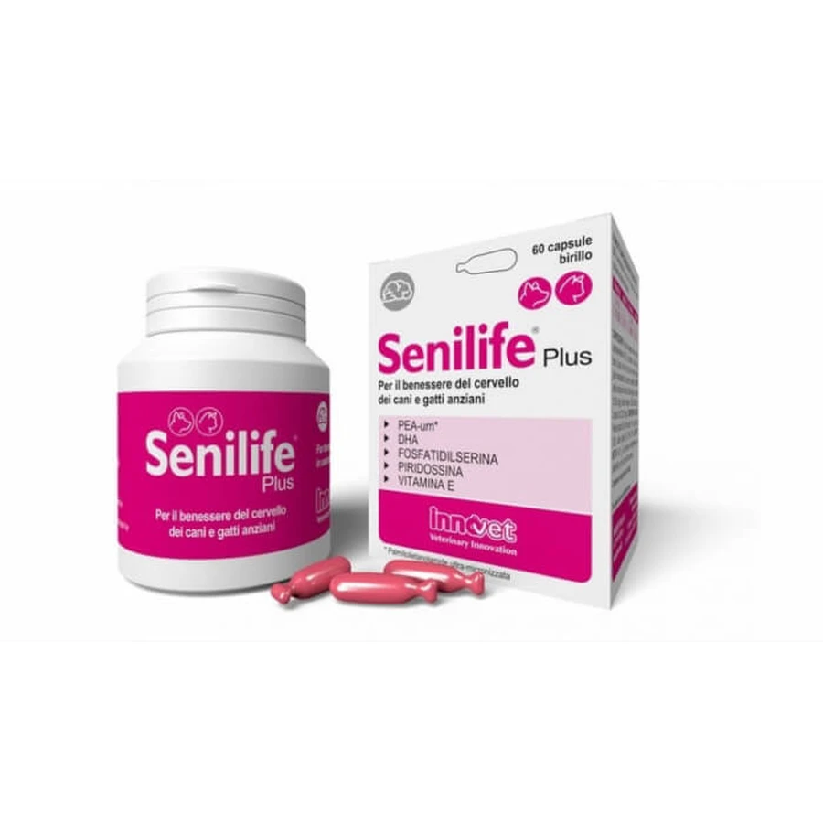 Senilife Plus, 60 cápsulas