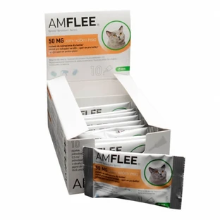 AMFLEE 50 mg spot-on oplossing voor katten 1 pipet (0,50 ml)
