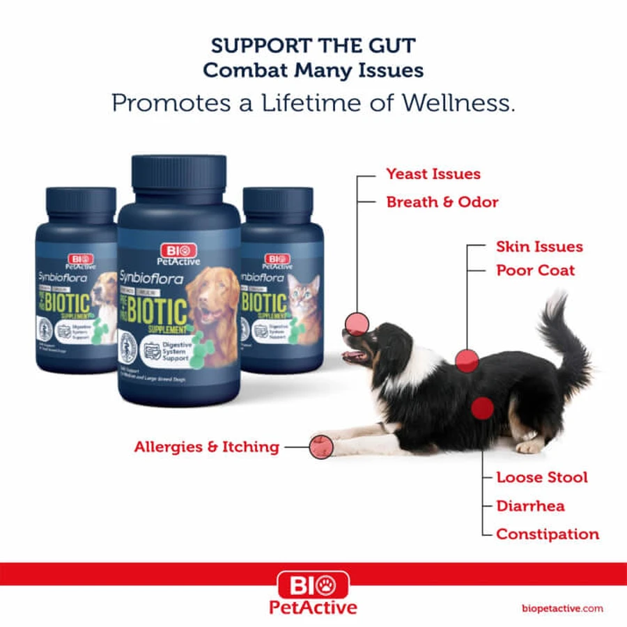 Bio PetActive Synbioflora for Small Dogs - 60 tablets