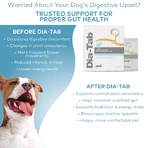 Dia-Tab, supplément pour chiens, 6 comprimés x 5 g